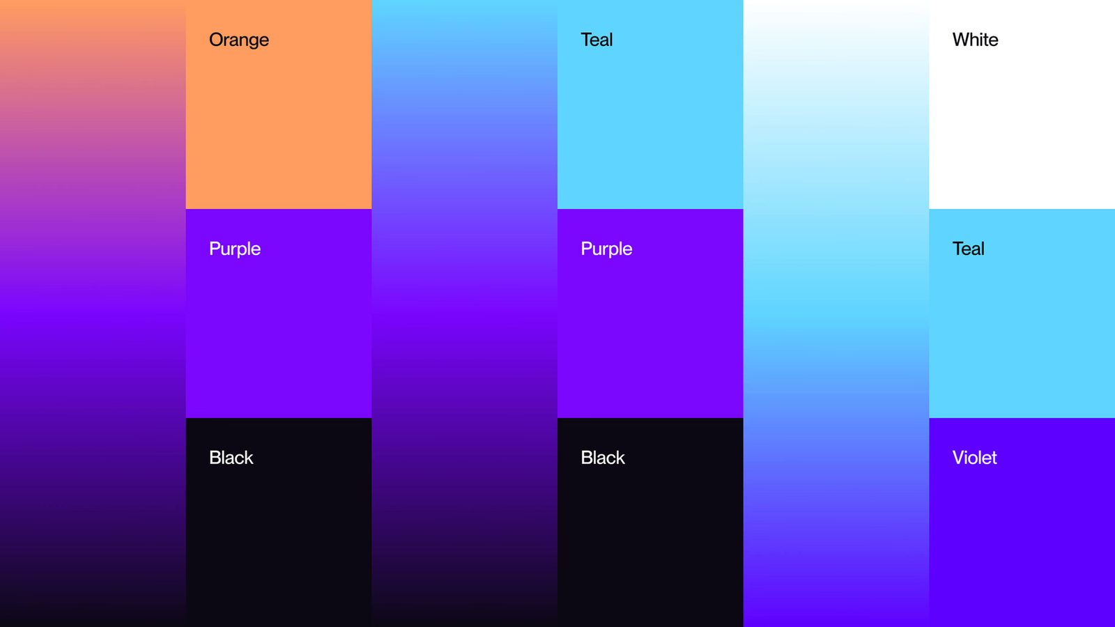 datawizz colors